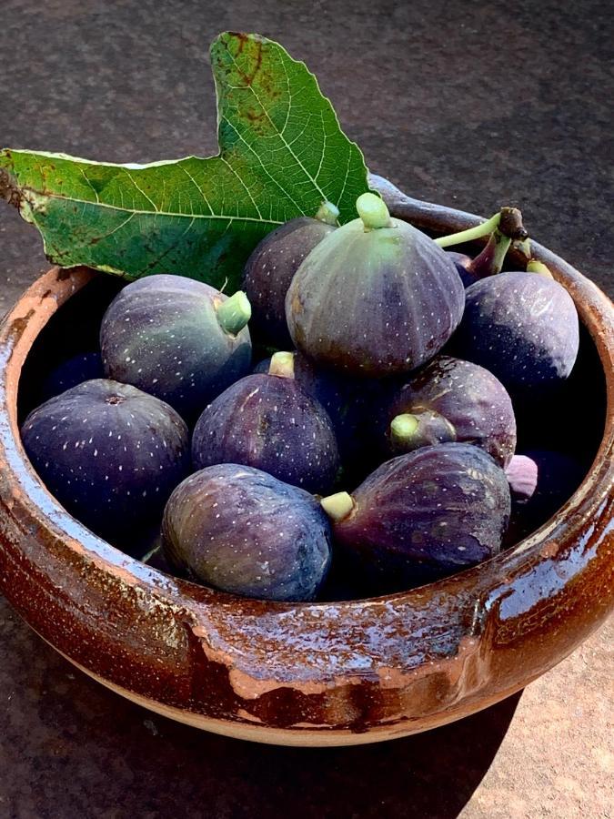 مبيت وإفطار كوكورون Les Jardins De Sitaara المظهر الخارجي الصورة