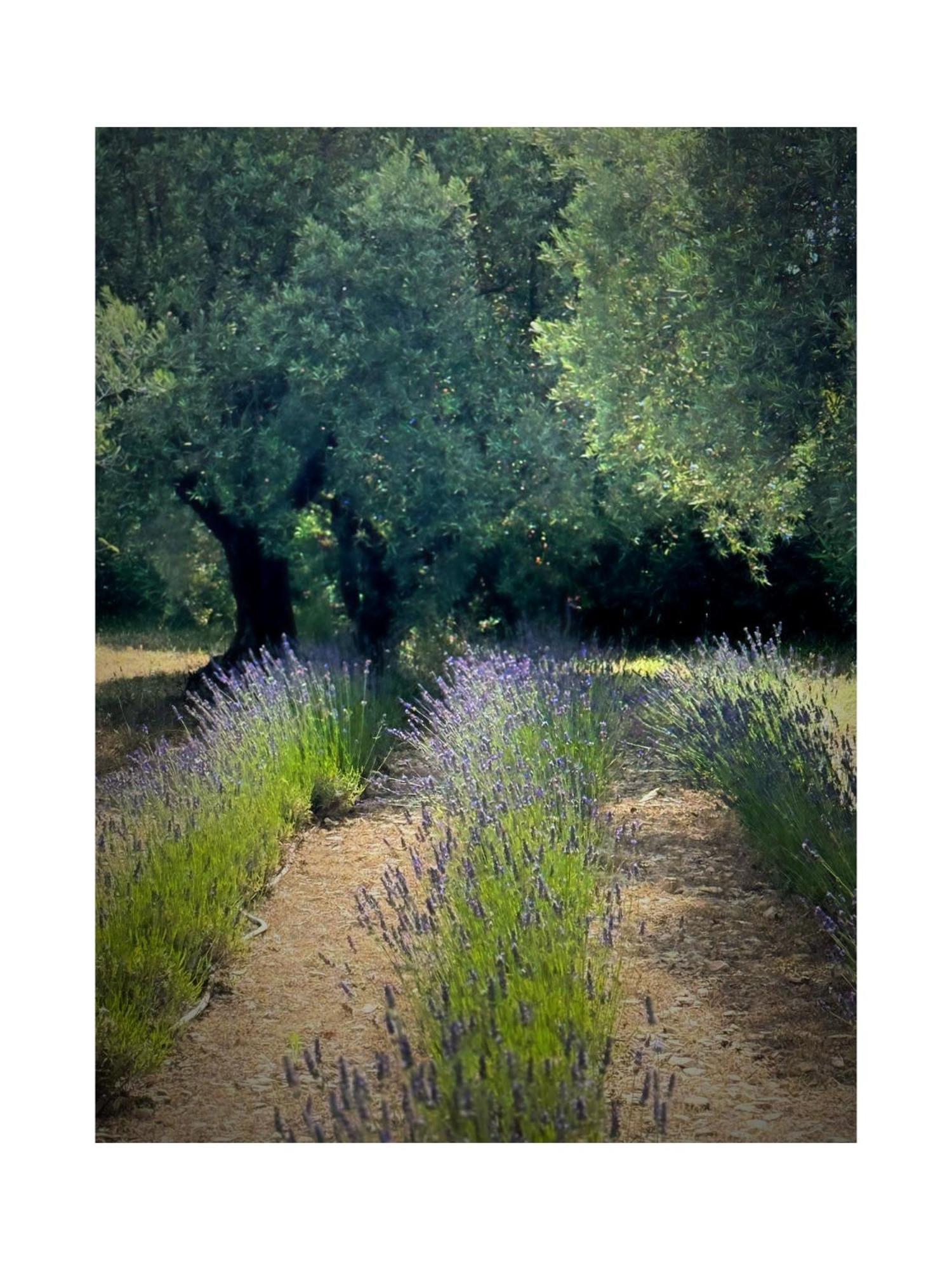 مبيت وإفطار كوكورون Les Jardins De Sitaara المظهر الخارجي الصورة